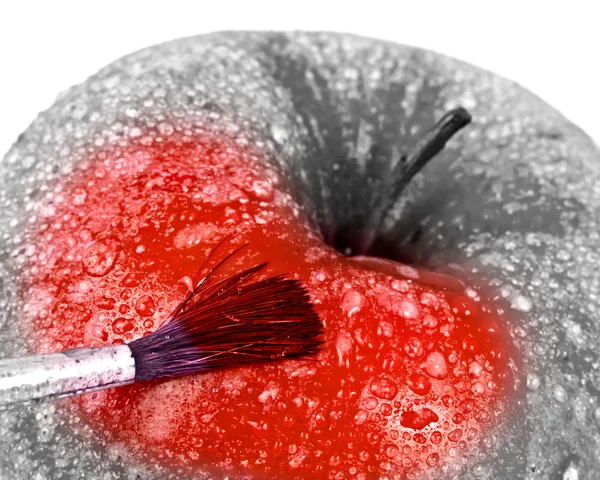 Stock image Red apple and brush.