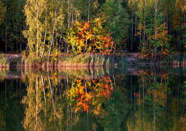 Φθινοπωρινό λίμνη — Φωτογραφία Αρχείου