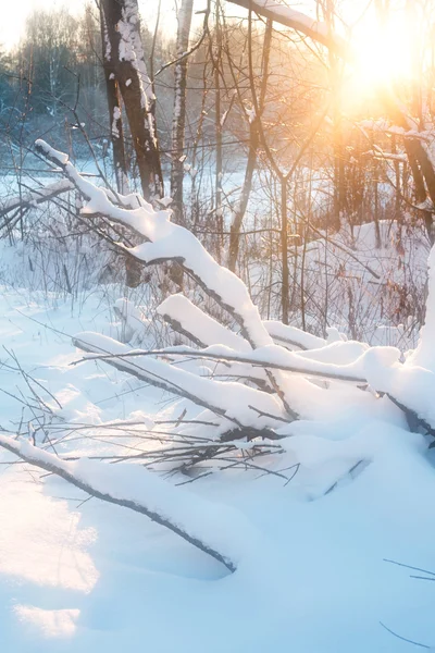 Zonsondergang in de winter veld. — Stockfoto