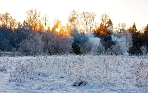 Západ slunce v zimě pole. — Stock fotografie