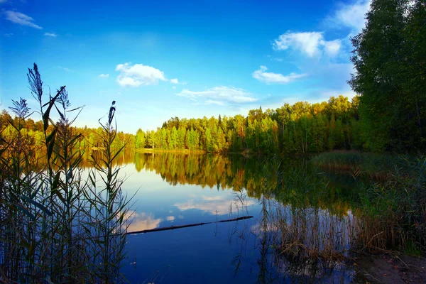 Осінній озеро — стокове фото