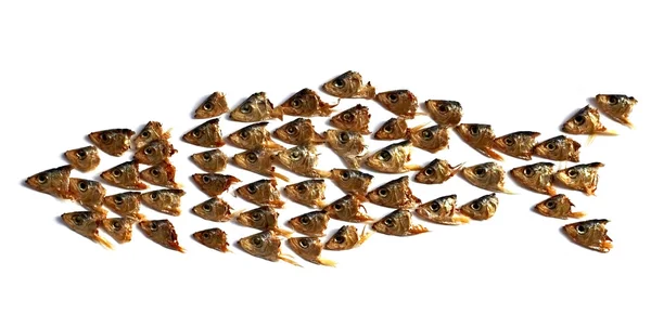 Natureza morta com cabeças de peixe salgado seco — Fotografia de Stock