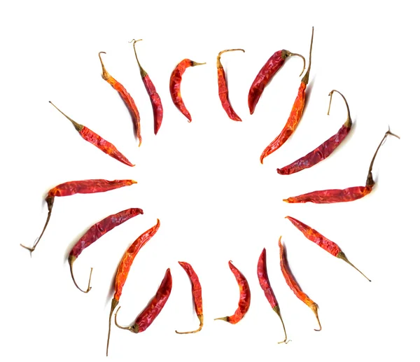 Red hot chili — Stock Photo, Image