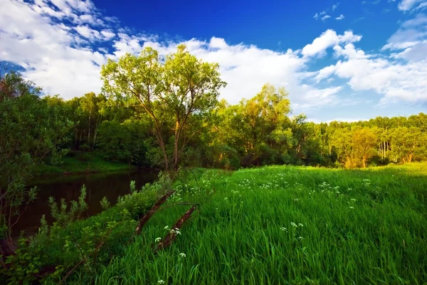 Campo verde com rio — Fotografia de Stock