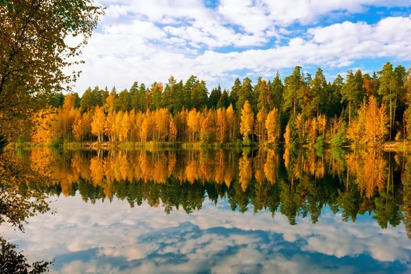 Herfst lake — Stockfoto