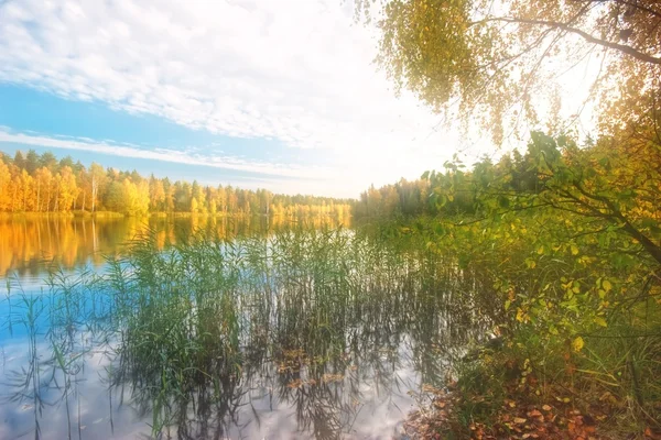 Herbstlicher See — Stockfoto