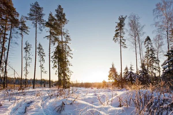 Puesta de sol invierno — Foto de Stock