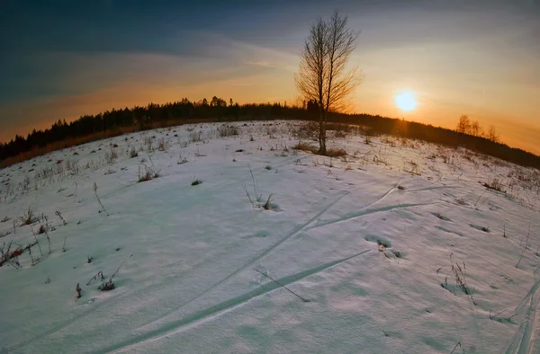 Coucher de soleil d'hiver — Photo