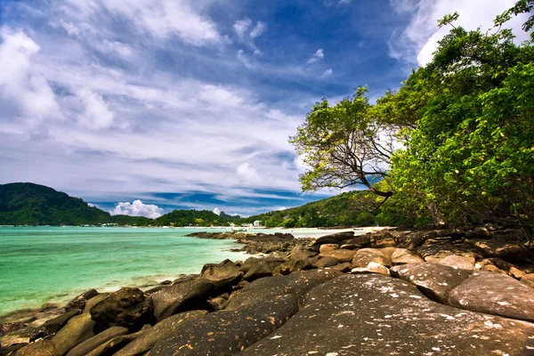Красивый тропический пляж — стоковое фото