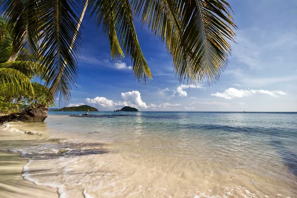 Smuk tropisk strand - Stock-foto