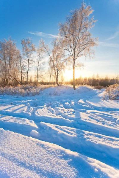Tramonto invernale — Foto Stock