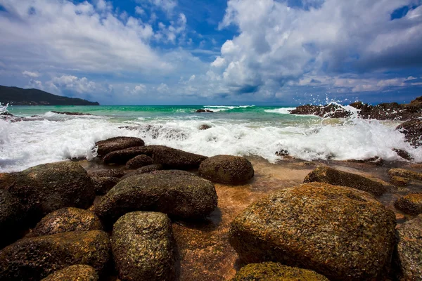 아름다운 열대 해변 — 스톡 사진