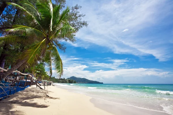 Playa tropical exótica — Foto de Stock