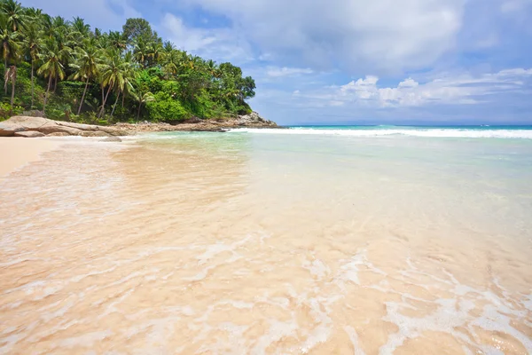Egzotyczna plaża tropikalna — Zdjęcie stockowe