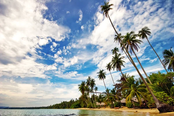 Vacker tropisk strand — Stockfoto