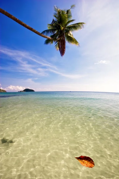 美しい熱帯のビーチ — ストック写真