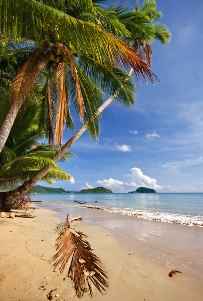Piękna tropikalna plaża — Zdjęcie stockowe