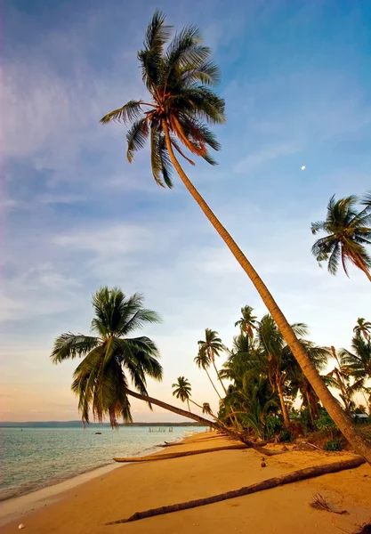 美丽的热带海滩 — 图库照片