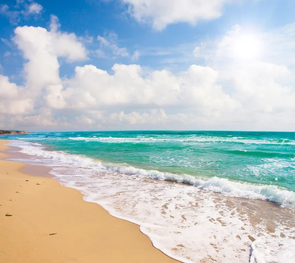 Strand und tropisches Meer lizenzfreie Stockfotos