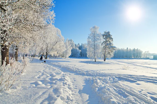 겨울 공원 — 스톡 사진