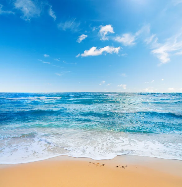 해변 과바다 — 스톡 사진
