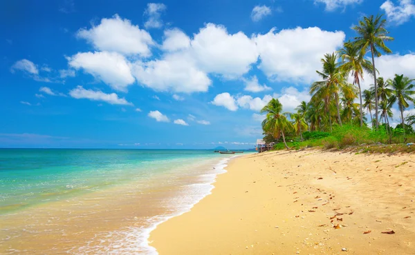 Sunny tropical beach on the island — Stock Photo © Lebval #22822688