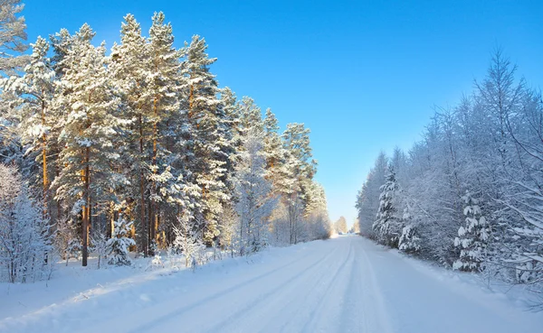 Sněhová pole a Les pod modrou oblohou s půlměsícem — Stock fotografie