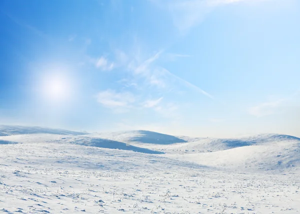 Снежное поле и лес под голубым небом с полумесяцем — стоковое фото
