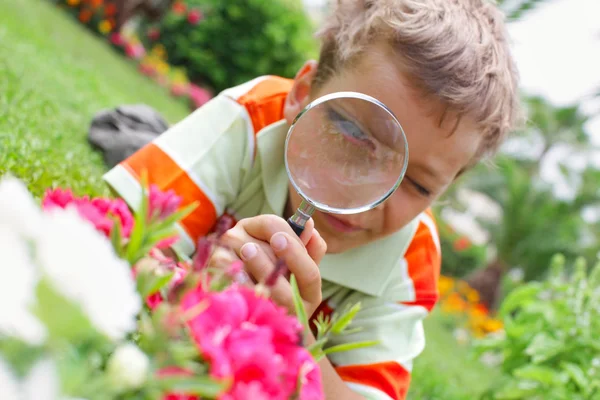 Rapaz, examinando com uma flor de lupa — Fotografia de Stock