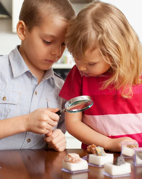 I bambini stanno prendendo in considerazione una collezione di lente d'ingrandimento di pietre — Foto Stock
