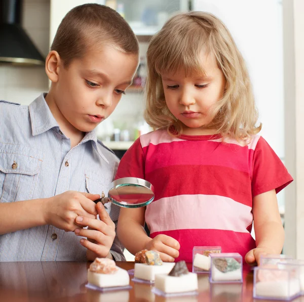 I bambini stanno prendendo in considerazione una collezione di lente d'ingrandimento di pietre — Foto Stock