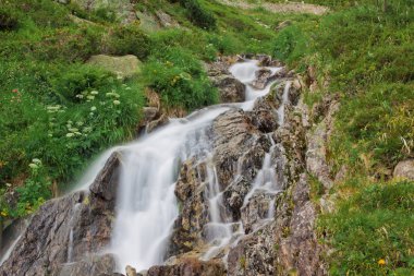 Yeşil Doğadaki Şelale