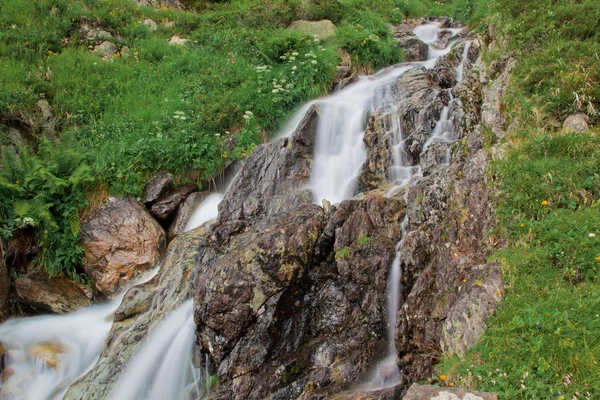 stock image Waterfall in green nature