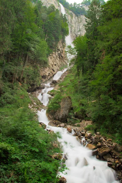 Водопад в зеленой природе — стоковое фото
