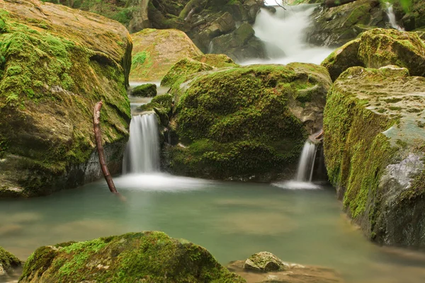 stock image Waterfall in green nature