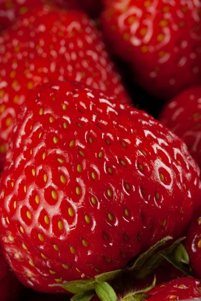 stock image Ripe strawberry on white