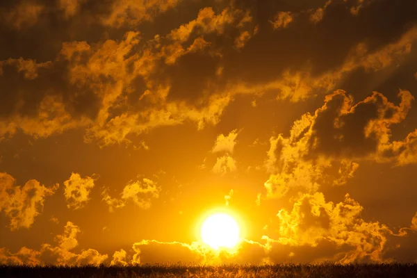 Soluppgång på morgonen — Stockfoto