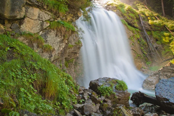 stock image Waterfall in green nature