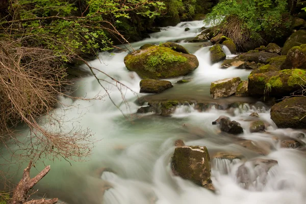 Wodospad w zielonej naturze — Zdjęcie stockowe