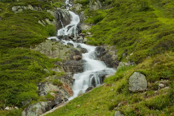 stock image Waterfall in green nature