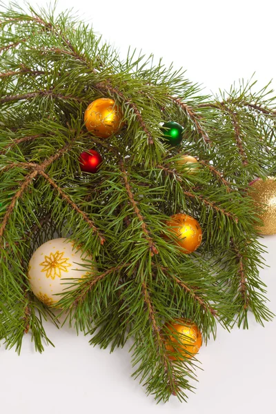 Noel köknar ile dekorasyon — Stok fotoğraf