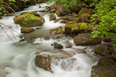 Waterfall in green nature clipart