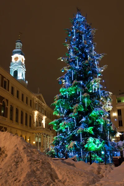 Kerstmis fir met decoraties — Stockfoto