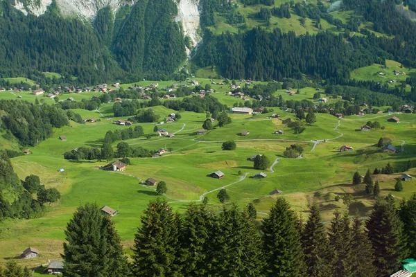 Vista Primeira Montanha Suíça — Fotografia de Stock