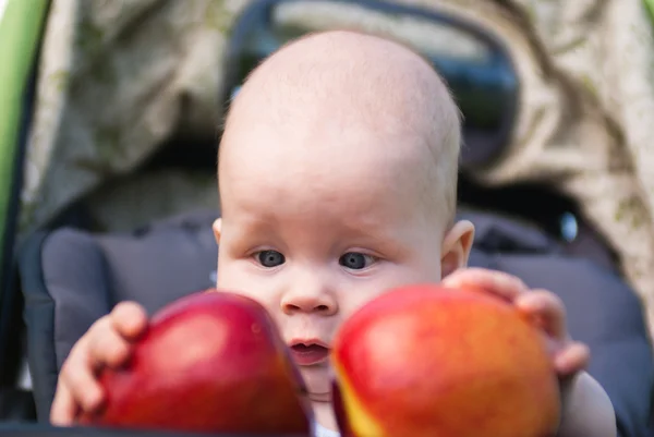 Anak kecil memegang kedua tangan dua apel — Stok Foto
