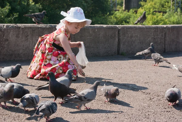 stock image Girl in dress feeding pigeons