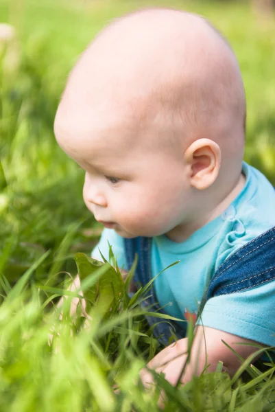 Ett litet barn som ligger på gräset — Stockfoto