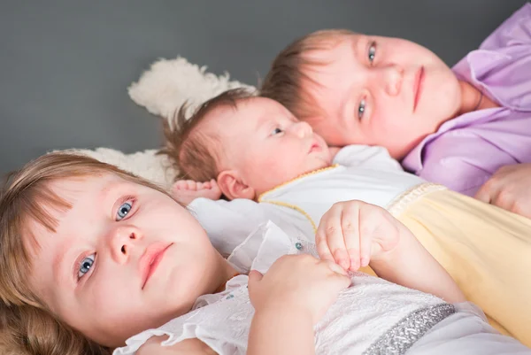 Porträtt av tre barn på en grå bakgrund — Stock fotografie