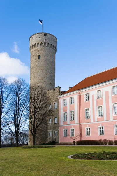 Toompea. Tallinn, Estonia — Fotografie, imagine de stoc