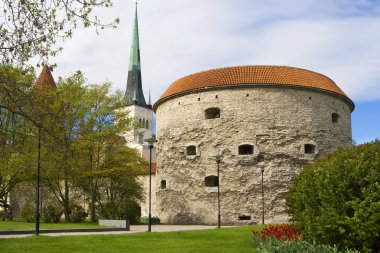 Tallinn, Estonya. eski şehrin görünümü